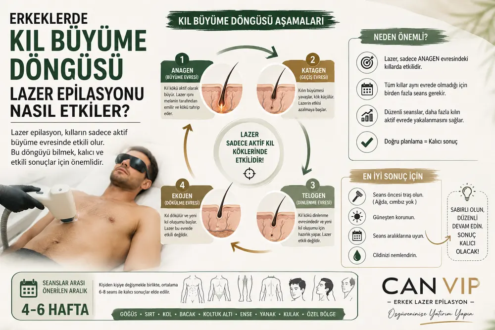 Erkeklerde yaşa ve kıl olgunlaşmasına göre kıl büyüme döngüsünün değişimini gösteren görsel