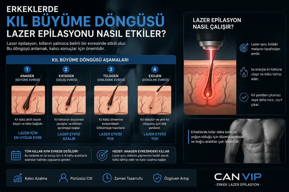 Kıl kalınlığı, rengi ve cilt tonunun kıl büyüme döngüsüyle birleşerek lazer epilasyon sonucunu etkilemesini temsil eden görsel